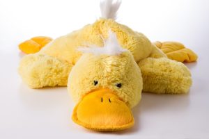 EXHAUSTED DUCK