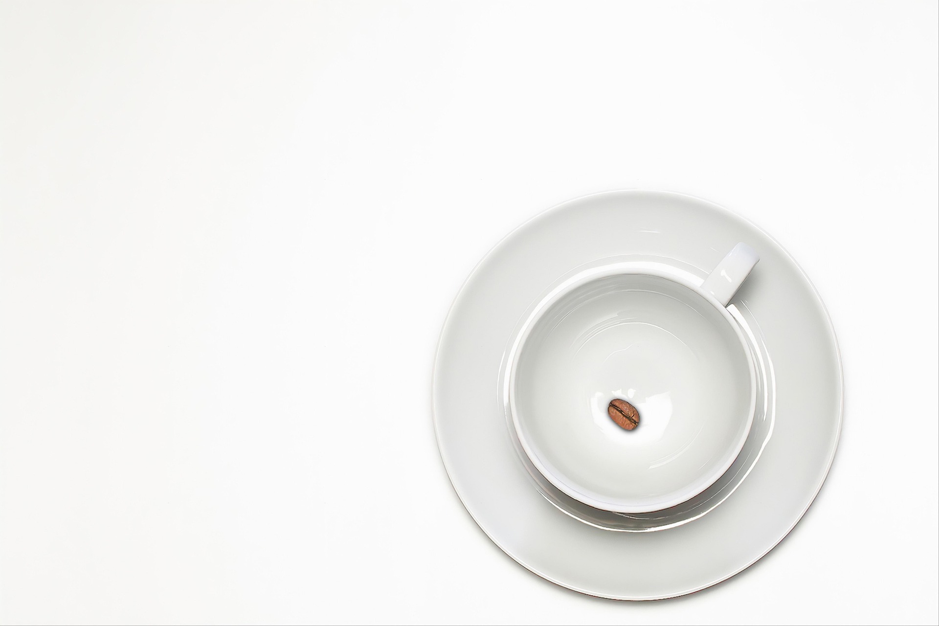EMPTY CUP