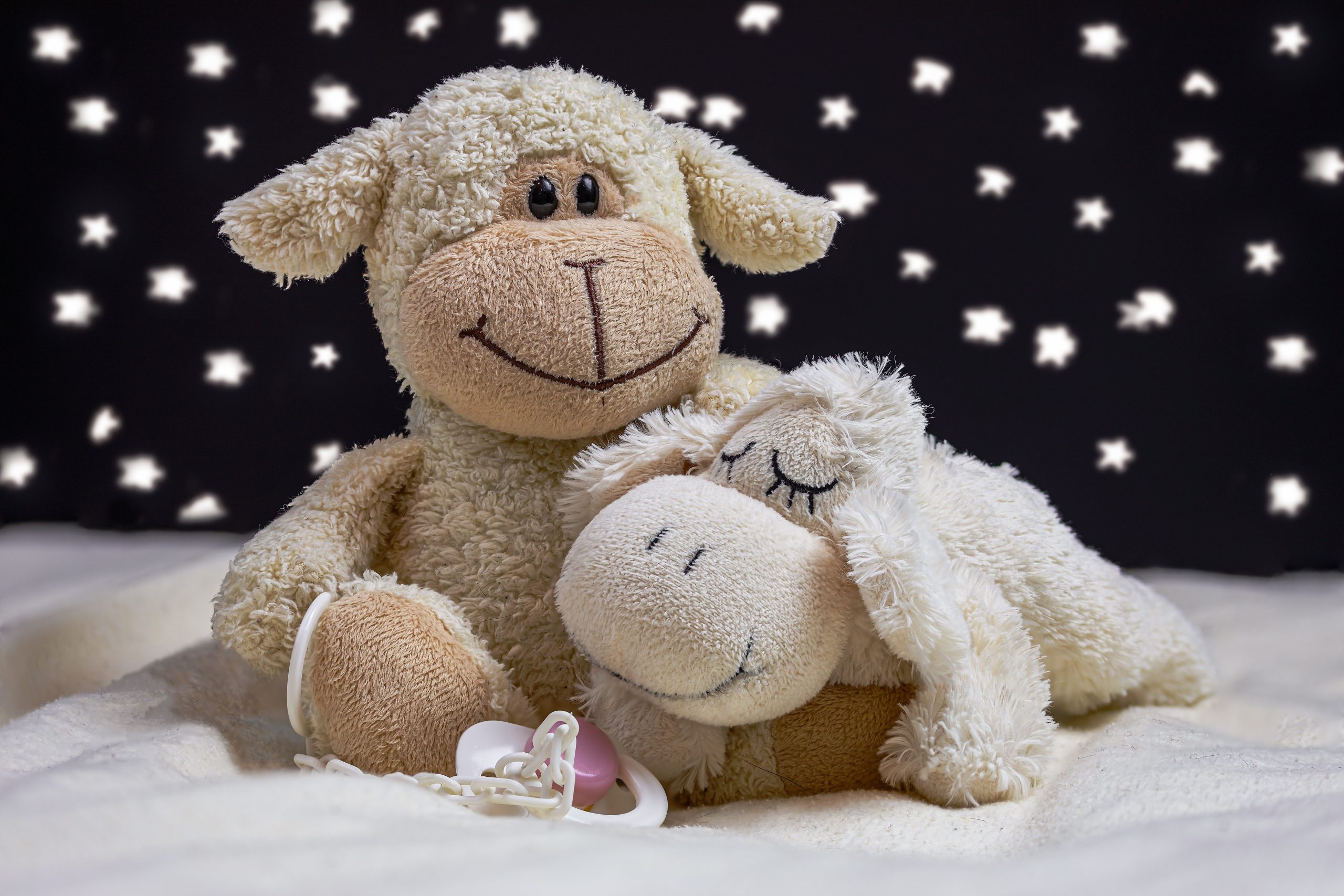 teddy bears
