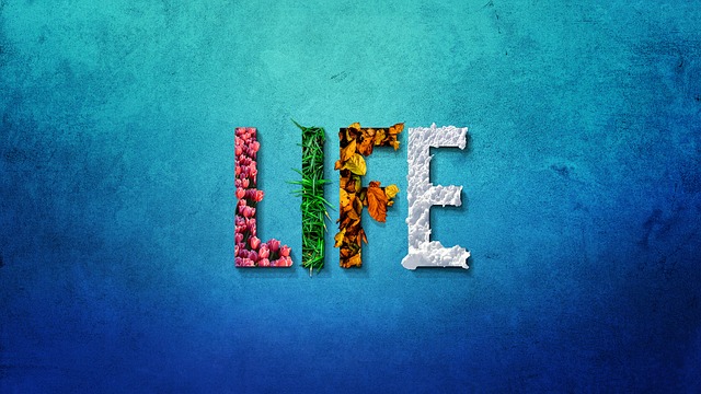SIGN THAT SAYS LIFE
