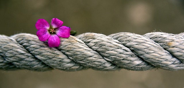 Rope with a flower on top